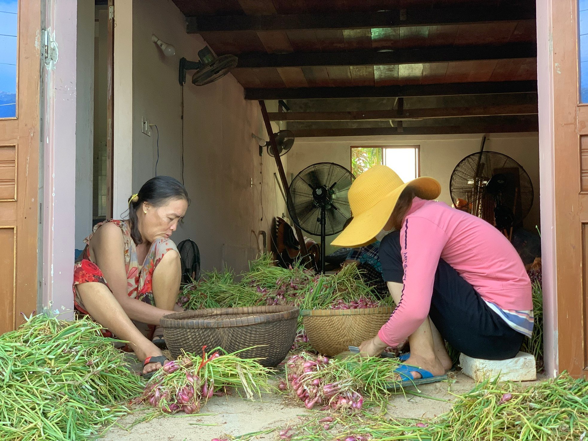 'Chìa khóa' mở lối thoát nghèo bền vững ở huyện đảo Lý Sơn ảnh 10