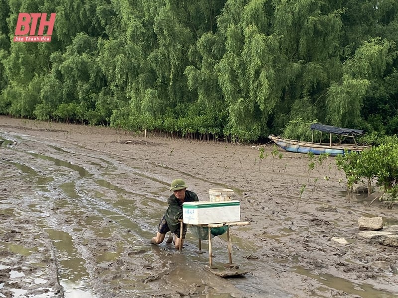 Nghề lú bãi bồi