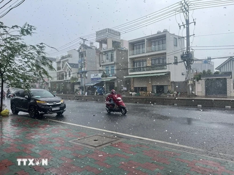 Anh minh họa. (Nguồn: TTXVN)