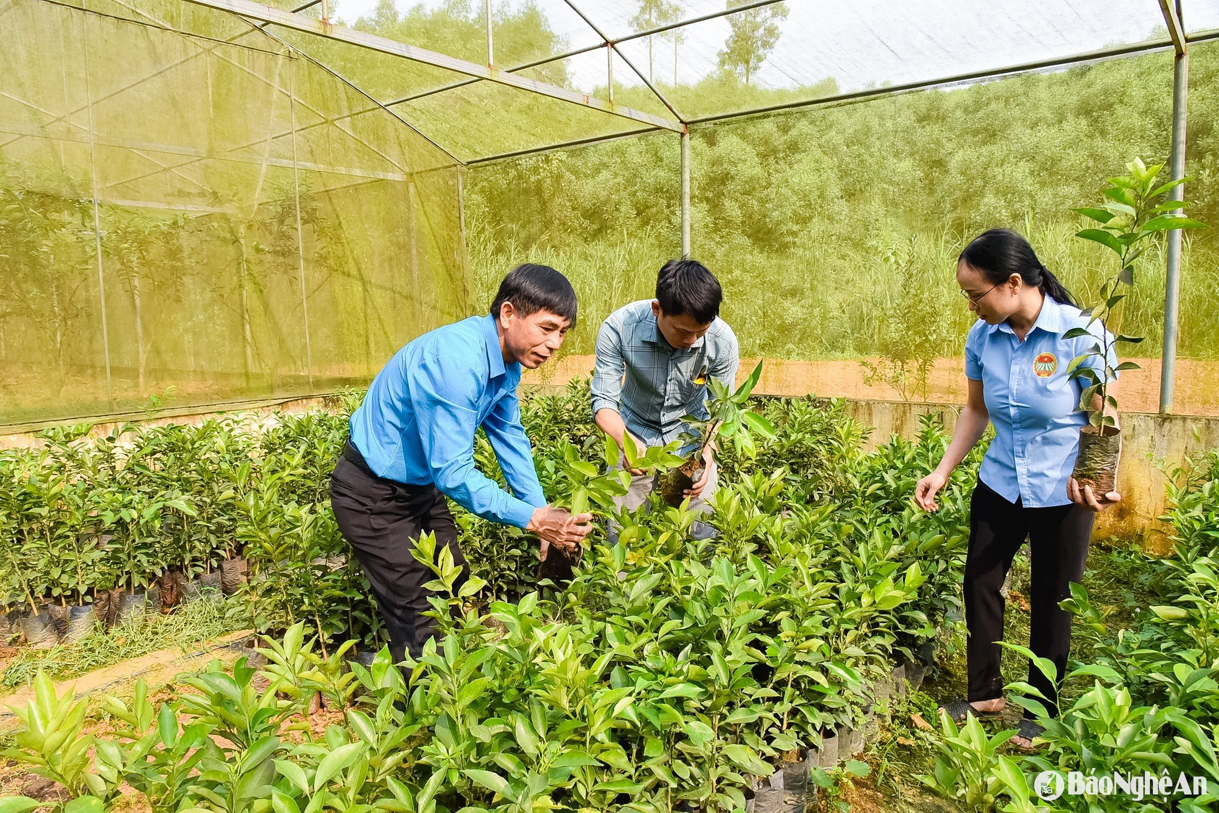 កូនប្រុស