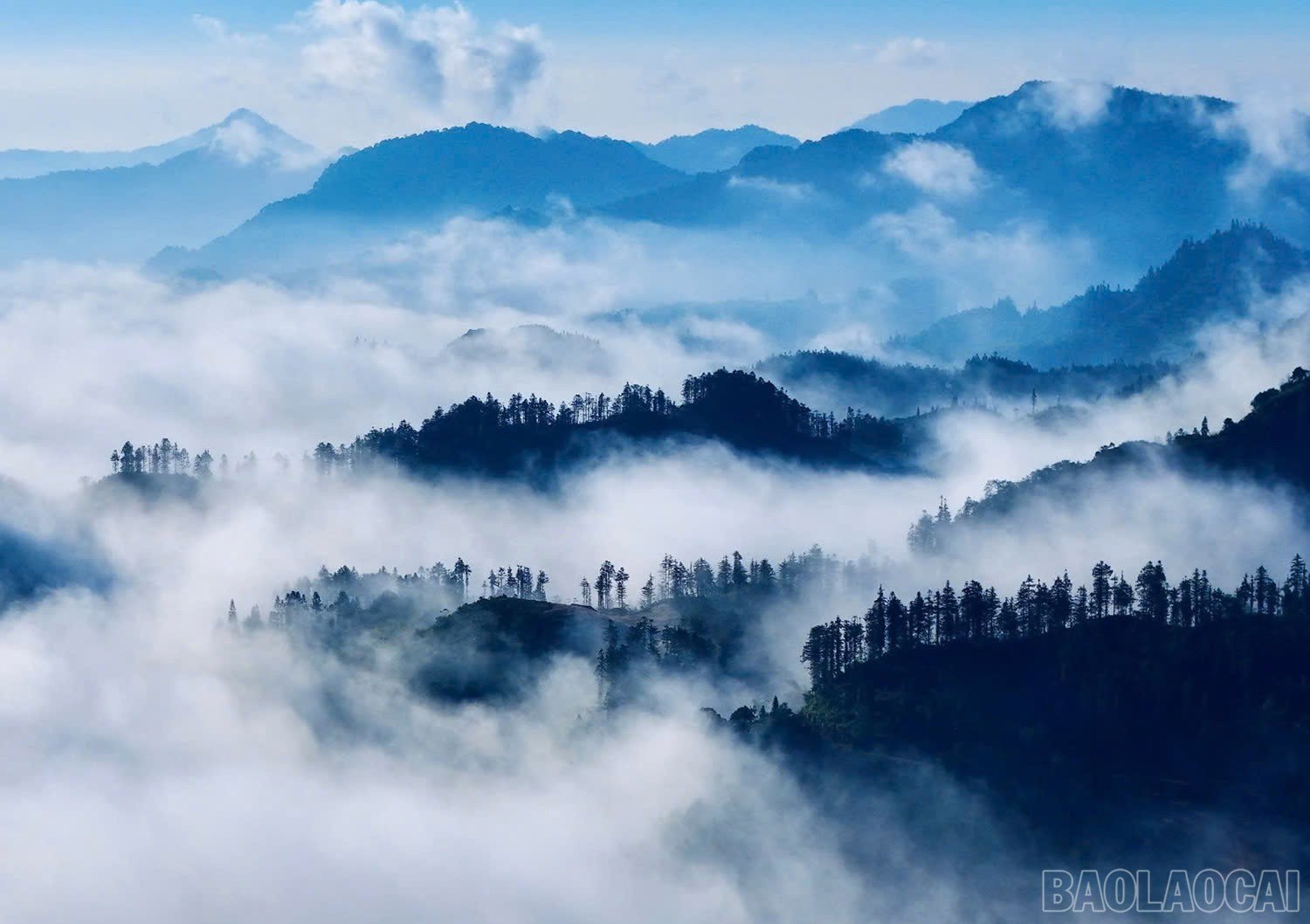 baolaocai-br_z6600789658078-b5b4af79cd3ea43eb7f4ceae46abcca6.jpg