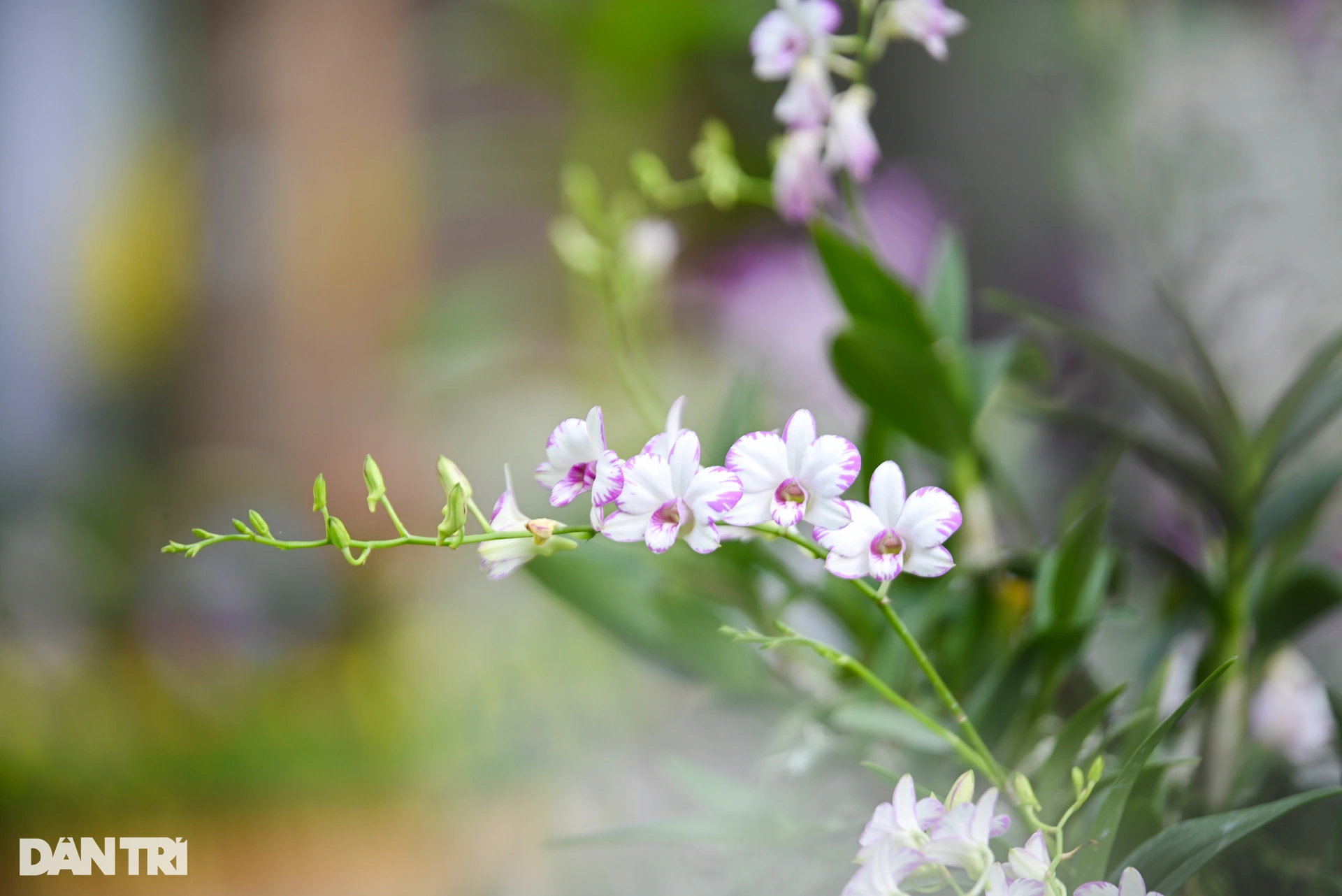9.webp