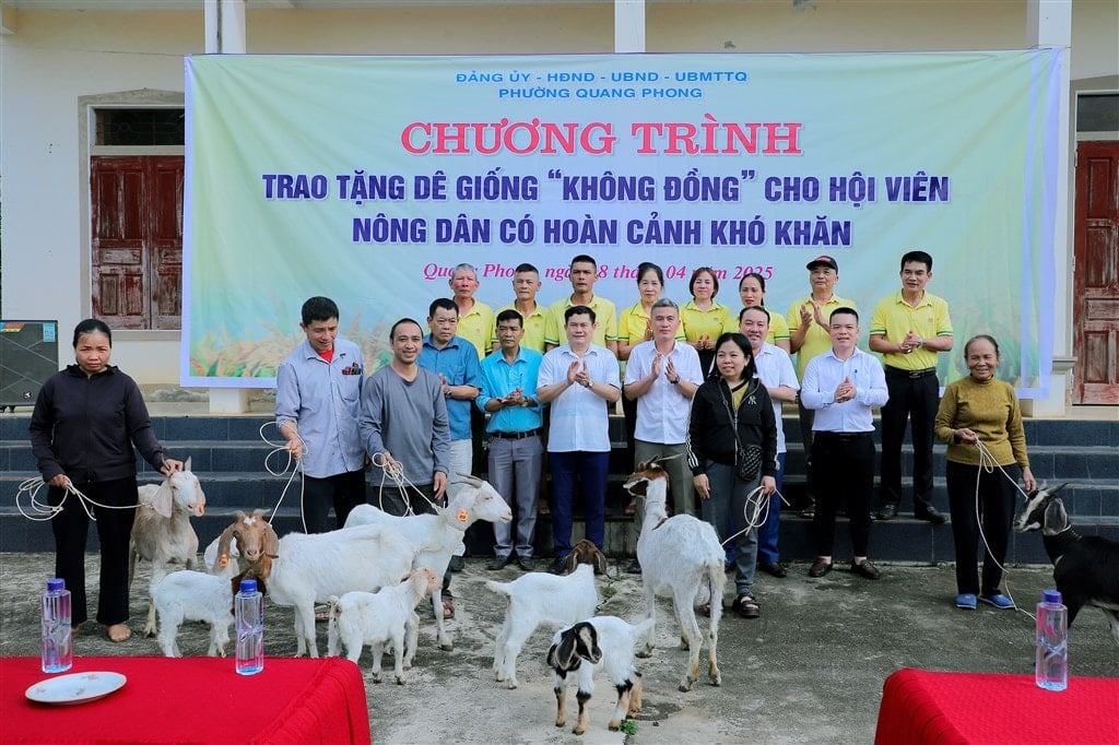 ផ្តល់​ពូជ​ពពែ​ដល់​កសិករ​ក្នុង​ស្ថានភាព​លំបាក​នៅ​សង្កាត់ Quang Phong ក្រុង Thai Hoa។