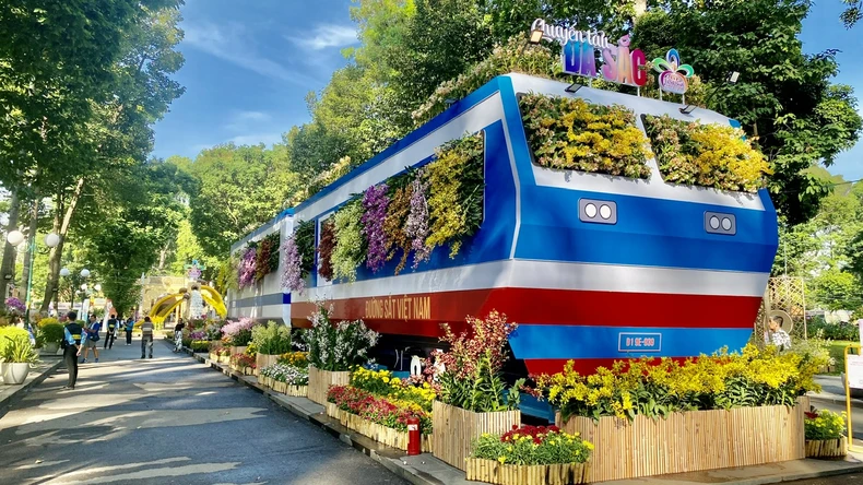 Thành phố Hồ Chí Minh khai mạc Festival Hoa lan lần thứ 3 năm 2025 ảnh 2