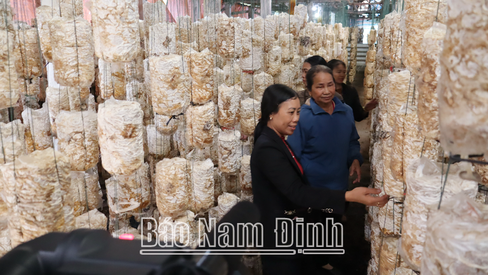 Hội viên phụ nữ xã Hoàng Nam phát triển nghề trồng nấm tạo việc làm và tăng thu nhập.