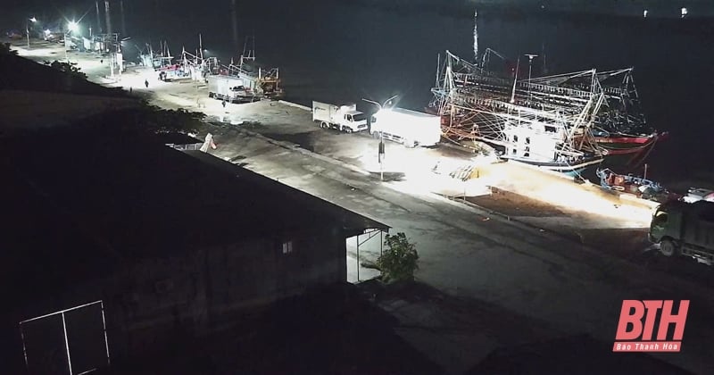 Cảng cá Hòa Lộc đảm bảo cho tàu thuyền bốc dỡ hàng hoá và tránh trú bão an toàn 