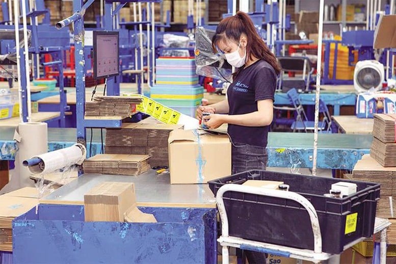 Thị trường 25 tỷ USD và bài toán nhân lực cho thương mại điện tử Việt Nam- Ảnh 1.