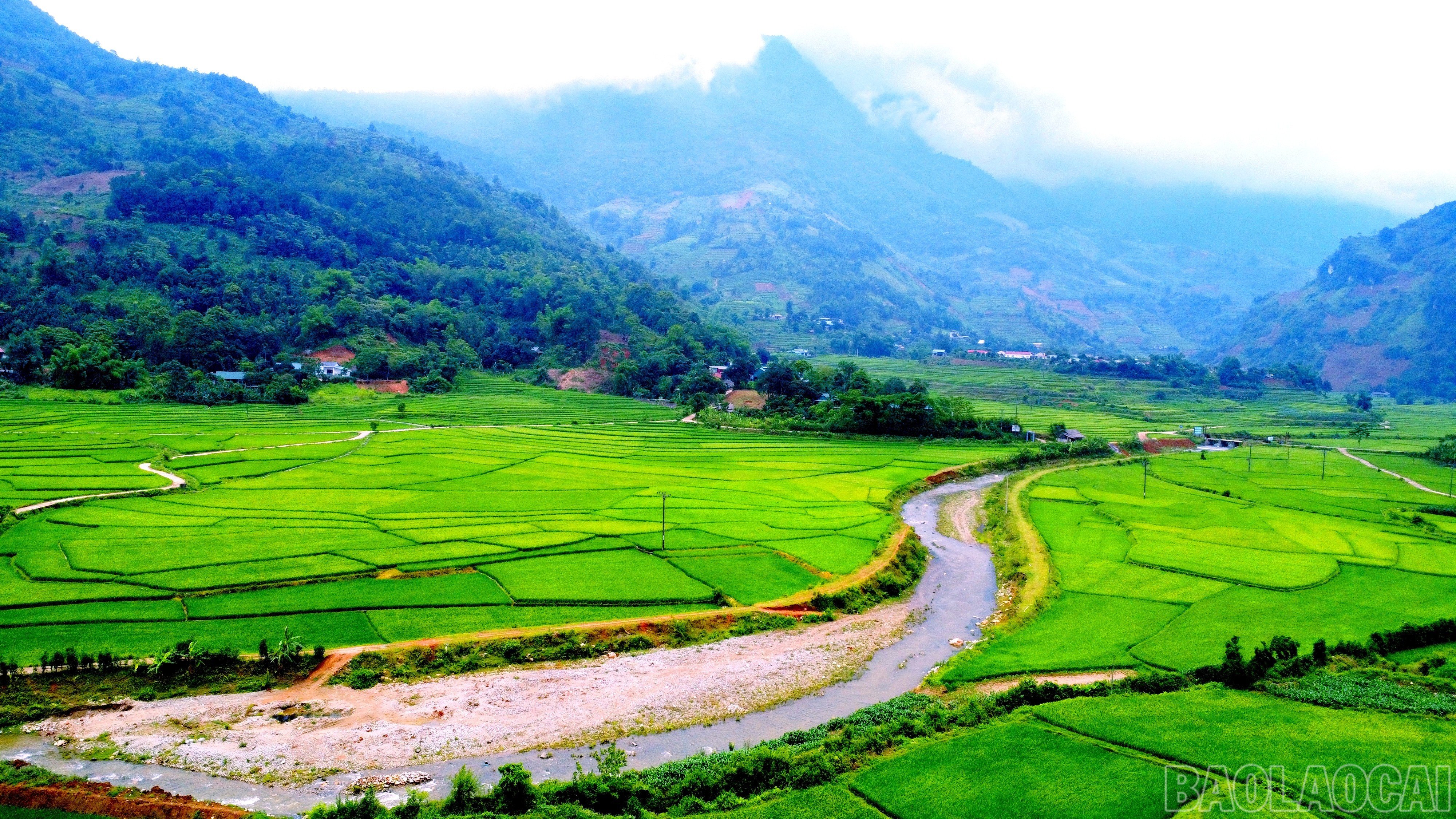 baolaocai-br_img-20250515-150808.jpg
