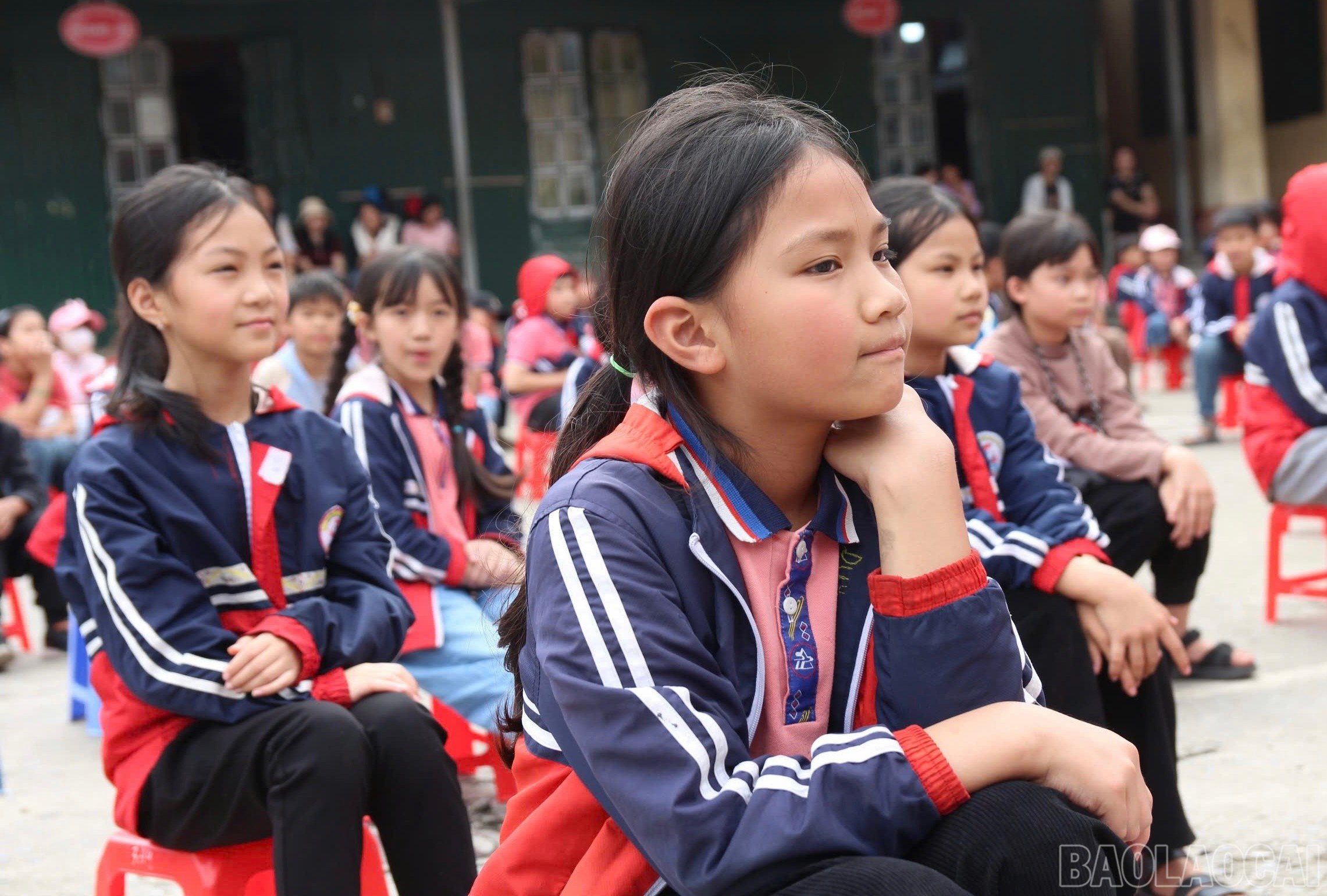 baolaocai-br_img-9717.jpg