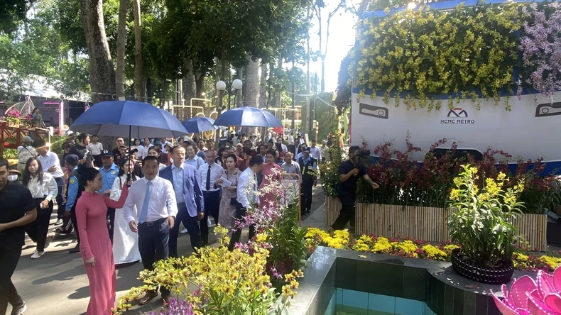 Thành phố Hồ Chí Minh khai mạc Festival Hoa lan lần thứ 3 năm 2025 ảnh 3