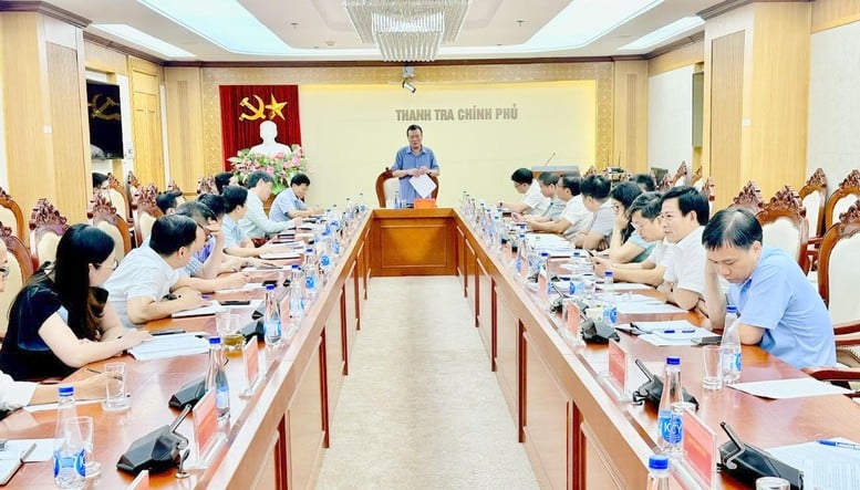 Thanh tra Chính phủ đẩy nhanh tiến độ ban hành kết luận thanh tra- Ảnh 1.