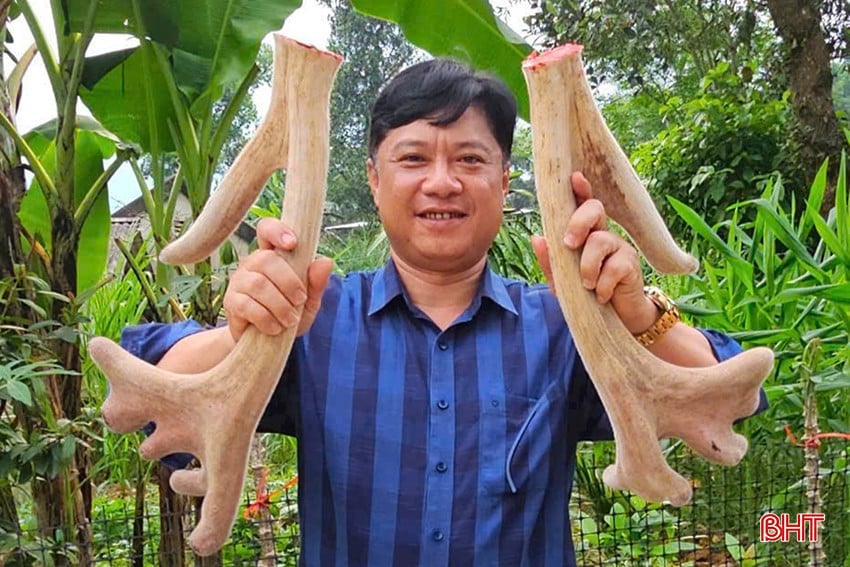 bqbht_br_niem-vui-duoc-mua-loc-nhung-cua-nguoi-dan-huong-son.jpg