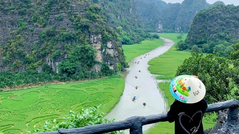 Độc đáo bức tranh “Cá chép vượt vũ môn” trên cánh đồng lúa Tam Cốc, Ninh Bình ảnh 6