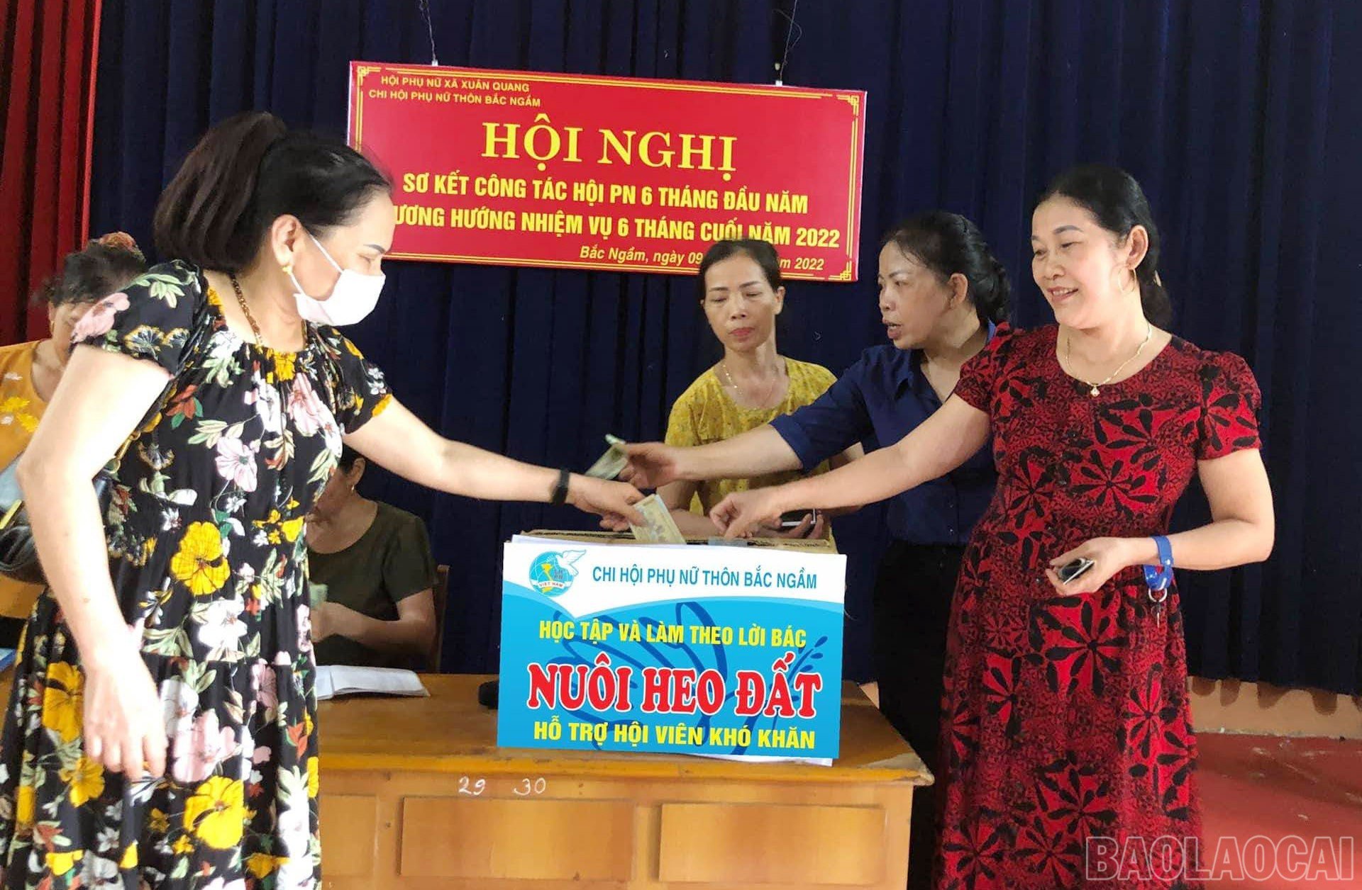 baolaocai-br_bt-nuoi-lon-tiet-kiem.jpg
