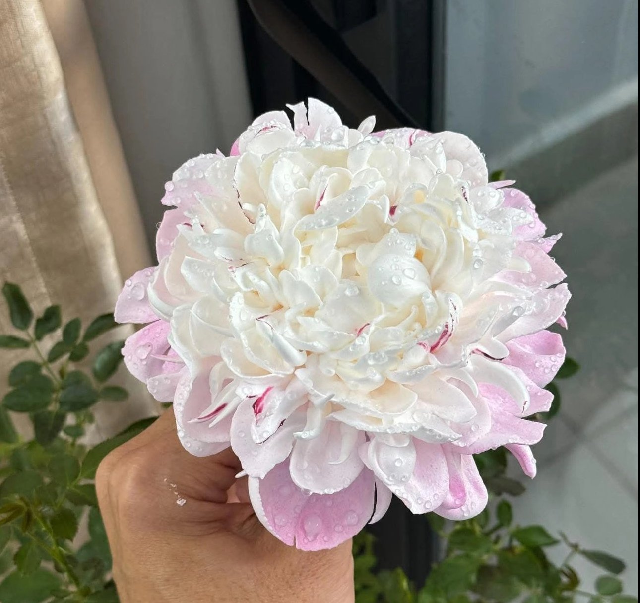 Chàng trai nặn hoa từ kem tươi khiến dân mạng không tin nổi vì quá giống hoa thật - Ảnh 3.