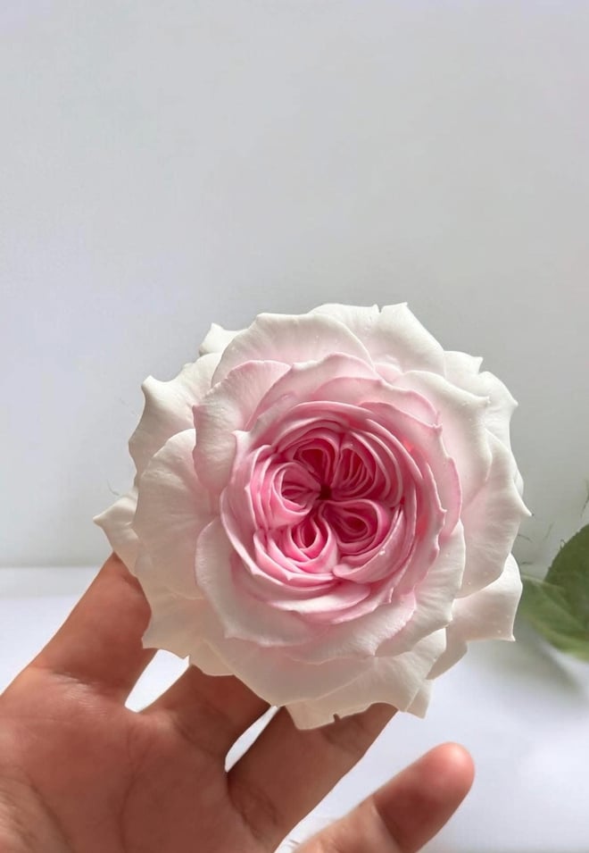 Chàng trai nặn hoa từ kem tươi khiến dân mạng không tin nổi vì quá giống hoa thật - Ảnh 10.