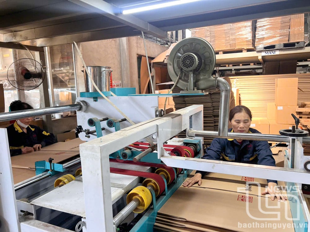 Thanks to maintaining effective and stable production, Hoan My Company Limited is currently creating jobs for many local workers.