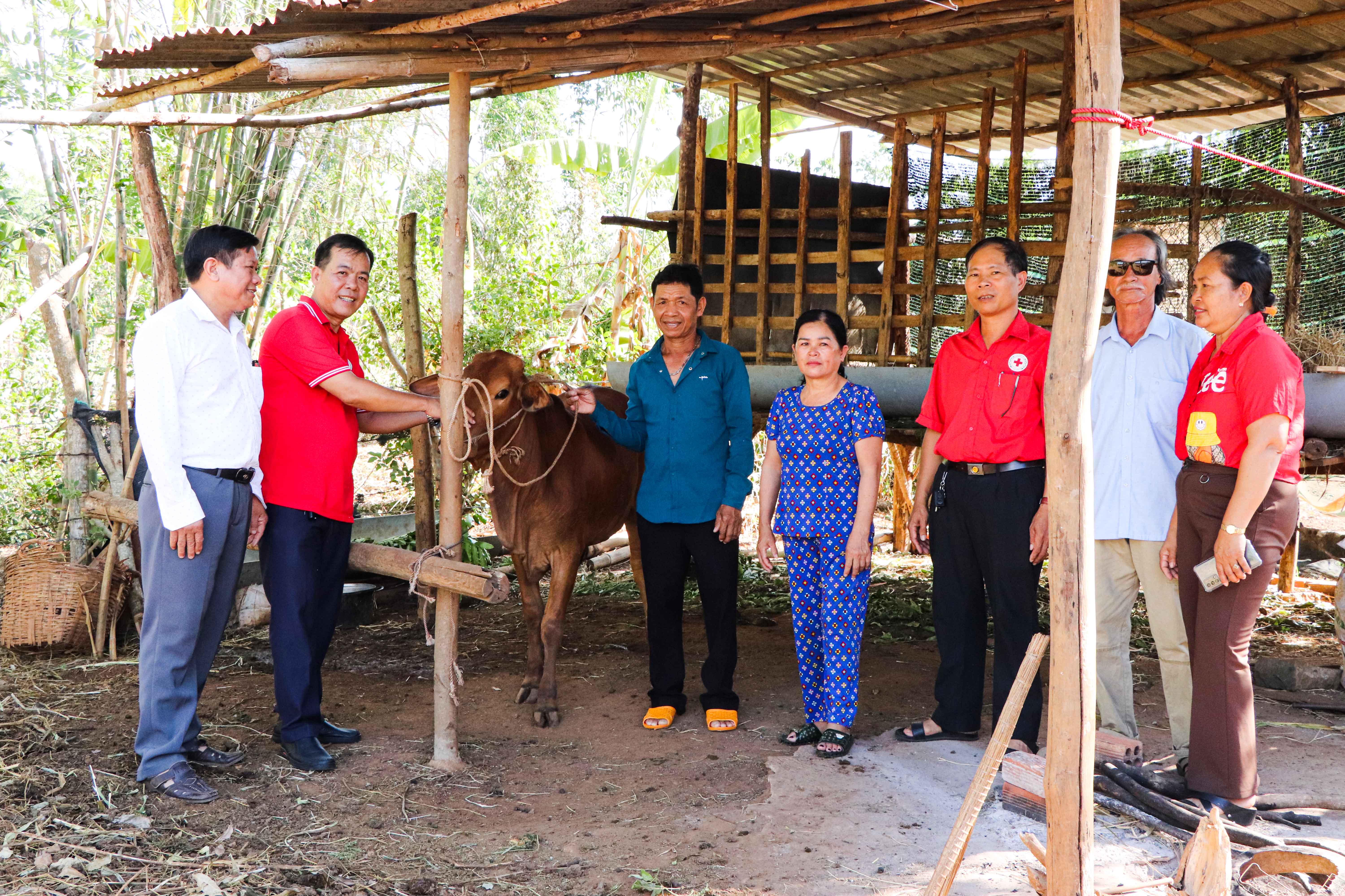 Ông Vũ Văn Tuyên (bên trái), Phó Bí thư Thường trực Đảng ủy xã Sơn Bình; ông Nguyễn Thành Tài (thứ hai từ trái vào), Chủ tịch Hội Chữ thập đỏ huyện bàn giao bò giống cho gia đình ông Lý Văn Năm.