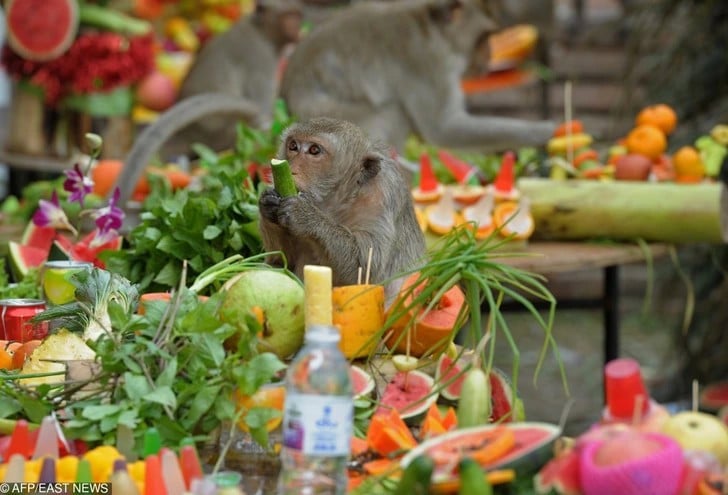 thai3.png