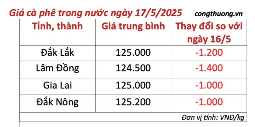 Dự báo giá cà phê ngày mai 18/5/2025, thị trường bình ổn
