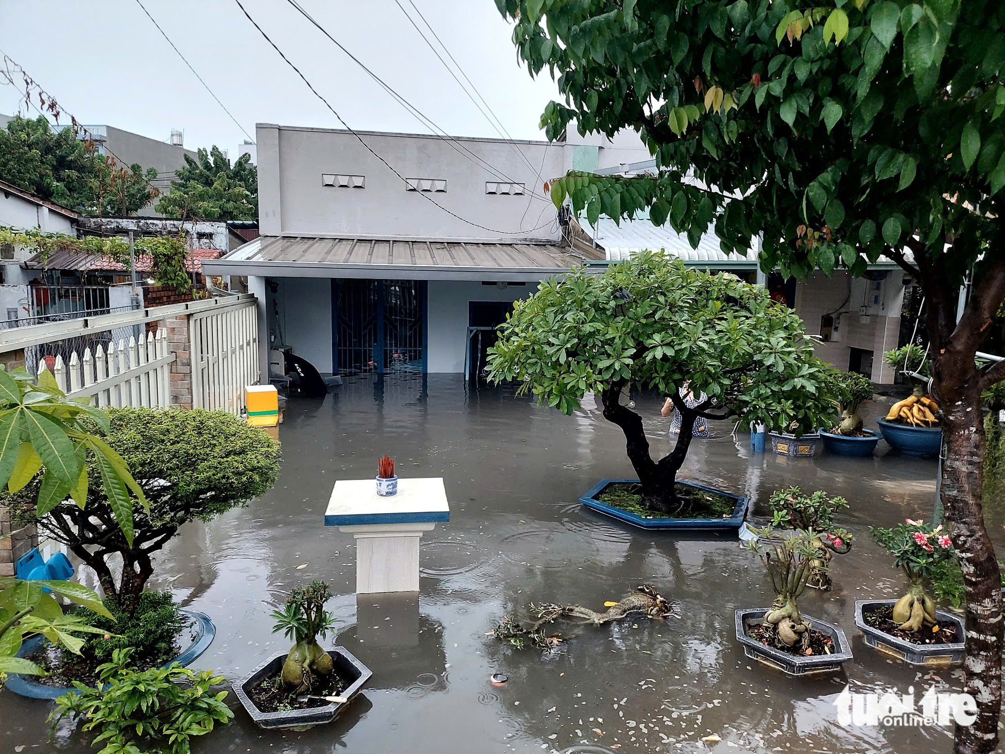 ngập - Ảnh 2.