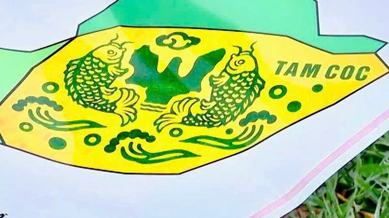 Độc đáo bức tranh “Cá chép vượt vũ môn” trên cánh đồng lúa Tam Cốc, Ninh Bình ảnh 4