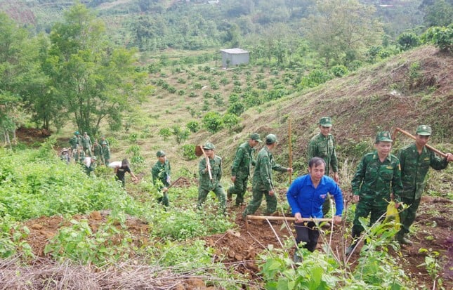 Tặng 10.000 cây giống và trao bò sinh sản cho bà con vùng biên Đắk Nông ảnh 1