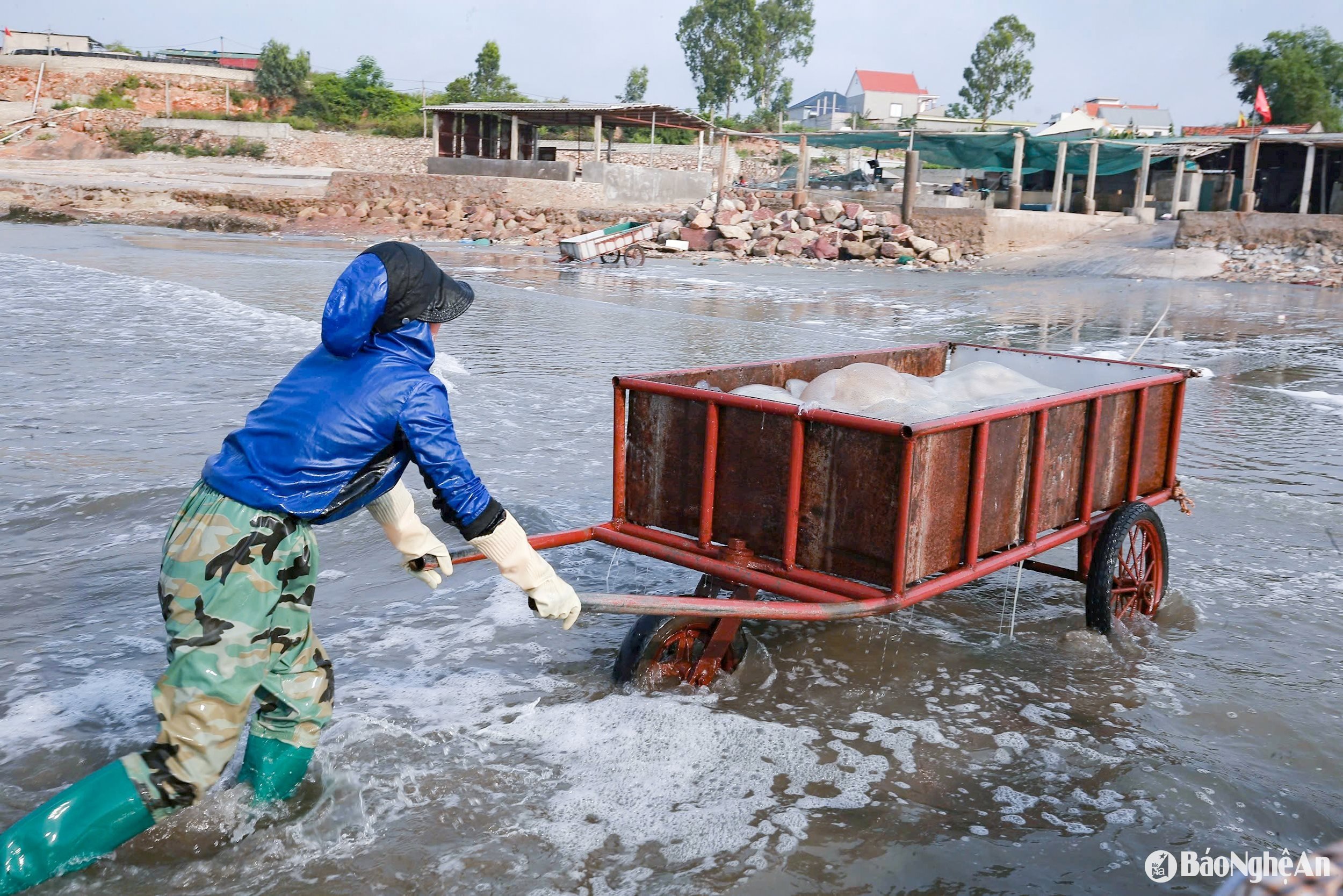 ត្រឡប់ទៅស្តុកវិញ