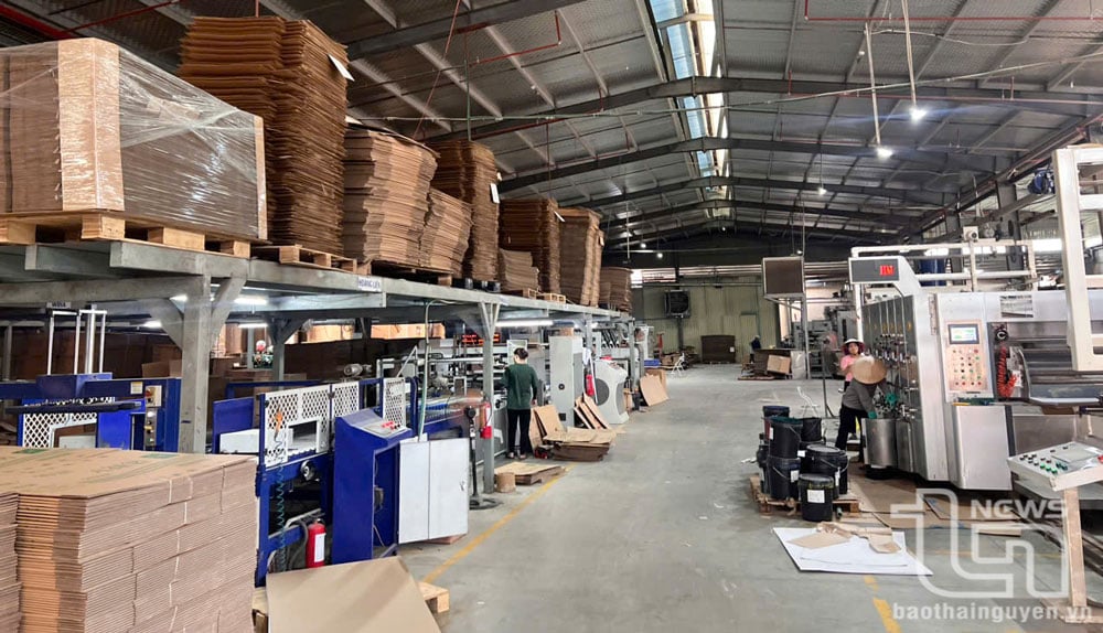 Carton packaging production line at Hoan My Company Limited.