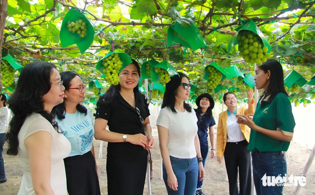 nho mẫu đơn - Ảnh 4.