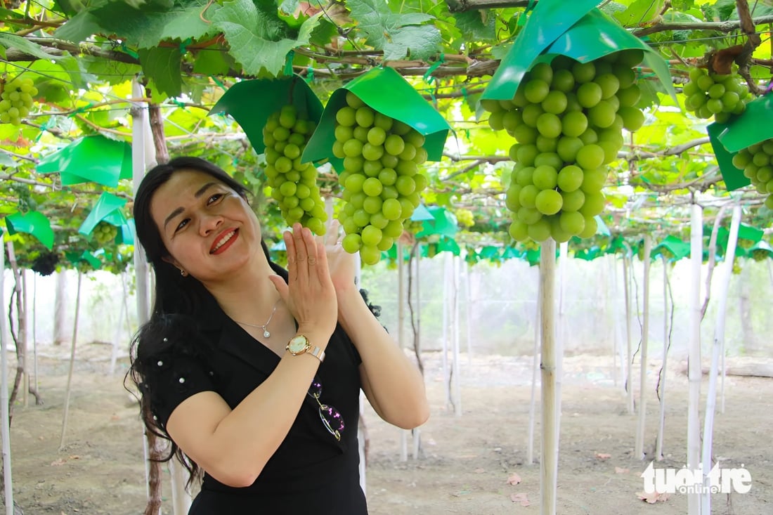 nho mẫu đơn - Ảnh 1.