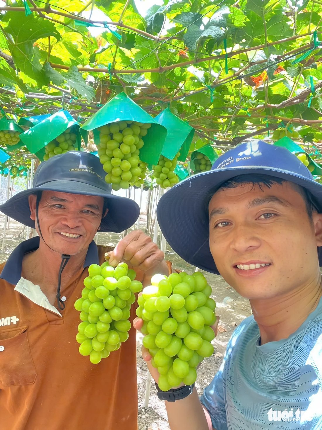 nho mẫu đơn - Ảnh 6.