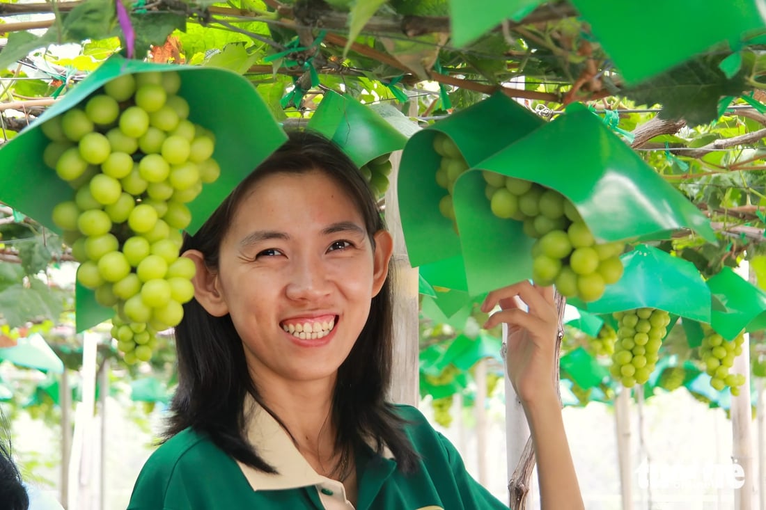 nho mẫu đơn - Ảnh 3.