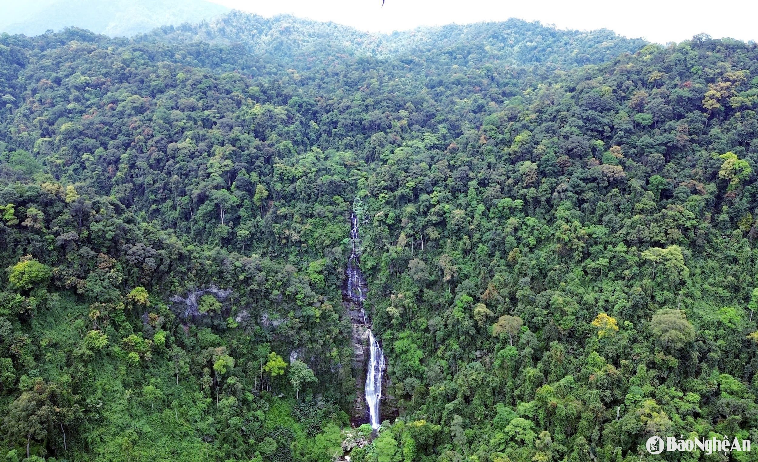 pu mas