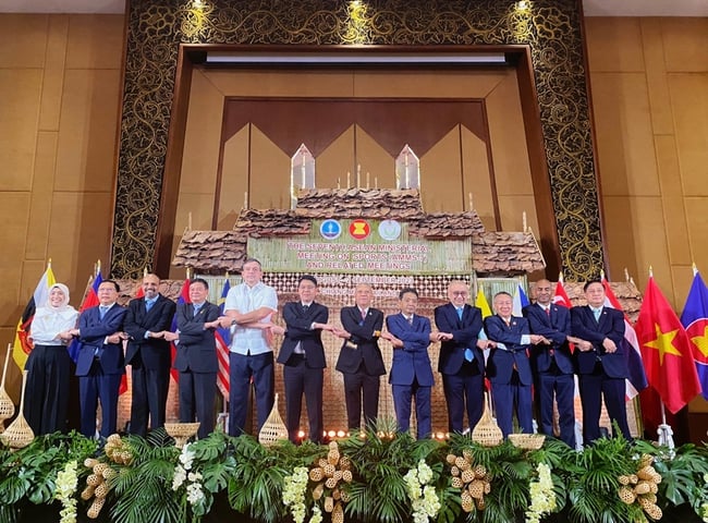 Thành lập các tiểu ban thuộc Ban Tổ chức Hội nghị Bộ trưởng ASEAN về Thể thao lần thứ 8 và các Hội nghị liên quan tại Việt Nam - Ảnh 1.