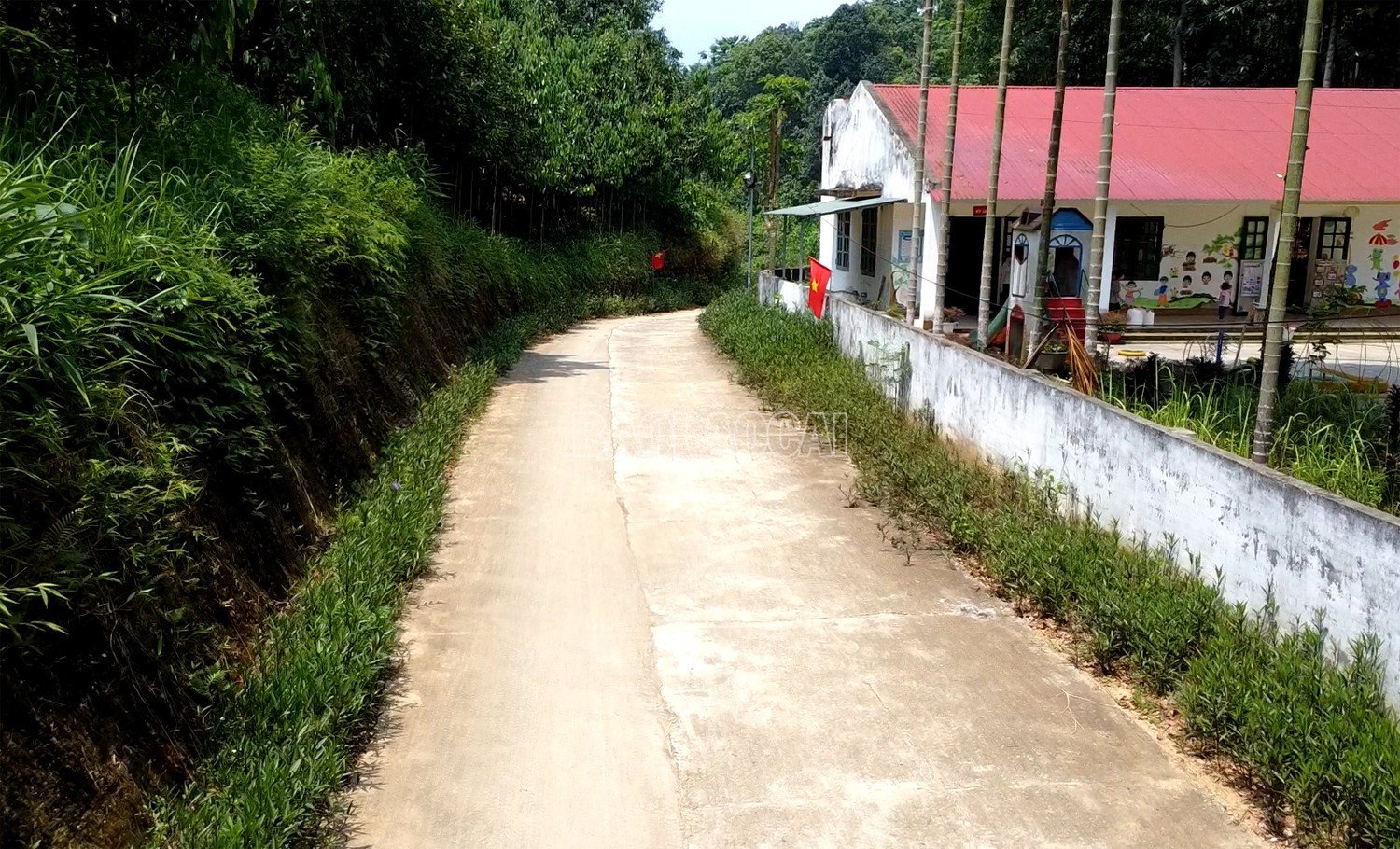 baolaocai-c_222.jpg
