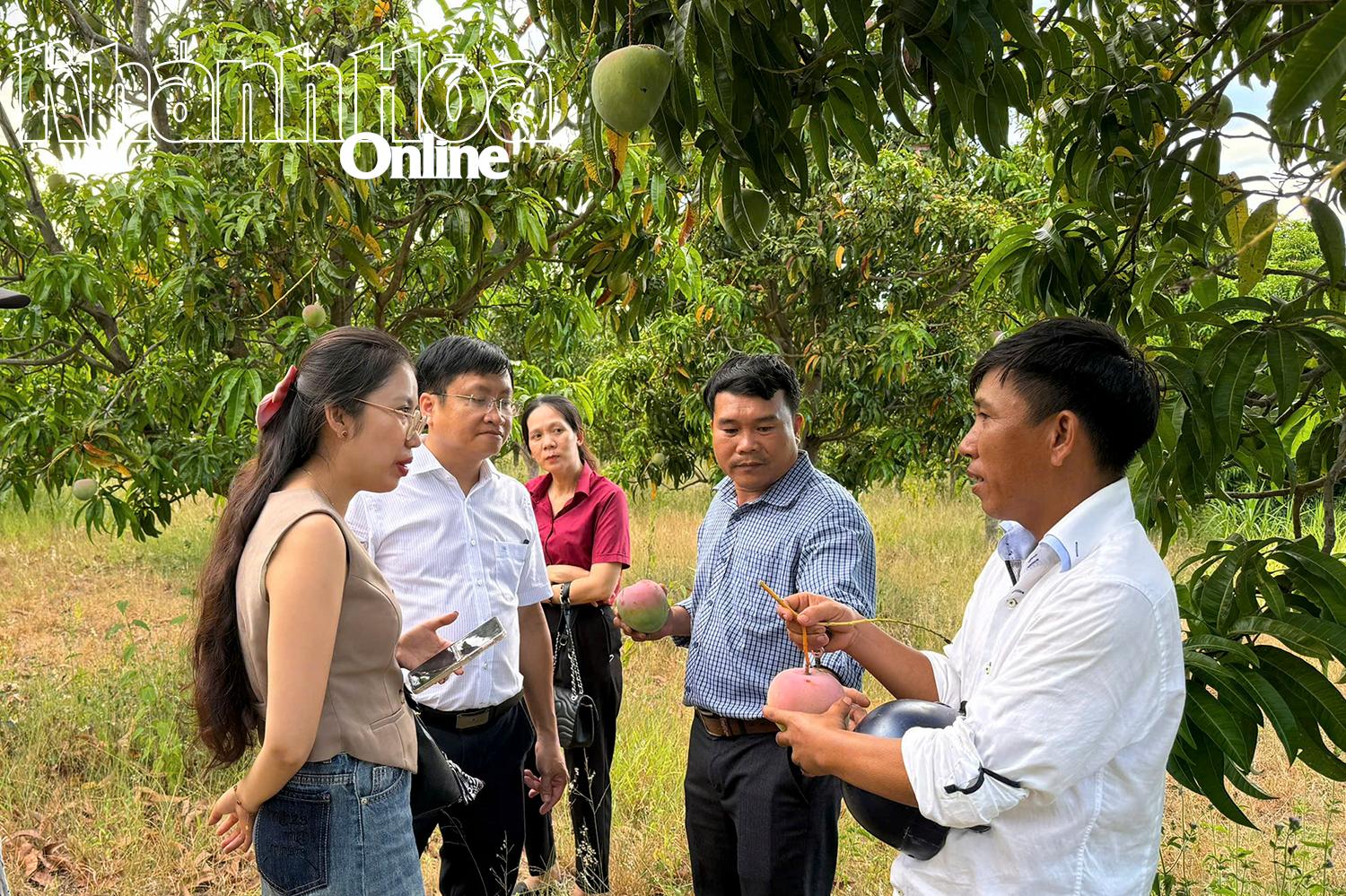 លោក វឿង (គម្របខាងស្តាំ) បានពិភាក្សាជាមួយអ្នកទិញអំពីតម្លៃ។   ទម្រង់នៃការដឹកជញ្ជូន   