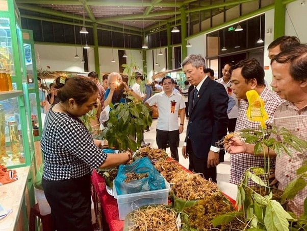 ថ្នាក់ដឹកនាំគណៈកម្មាធិការប្រជាជនខេត្ត Quang Nam បានចូលរួមពិធីបុណ្យ Ngoc Linh Ginseng នៅស្រុក Nam Tra My។