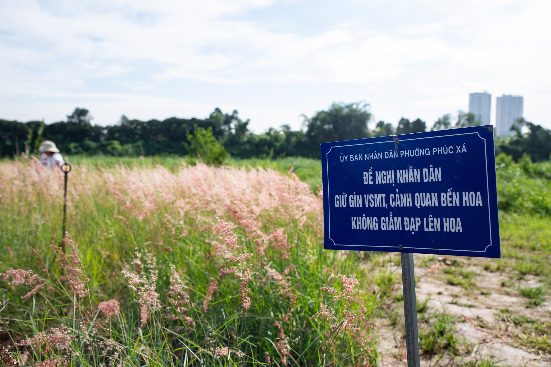 co hong cau long bien anh 10