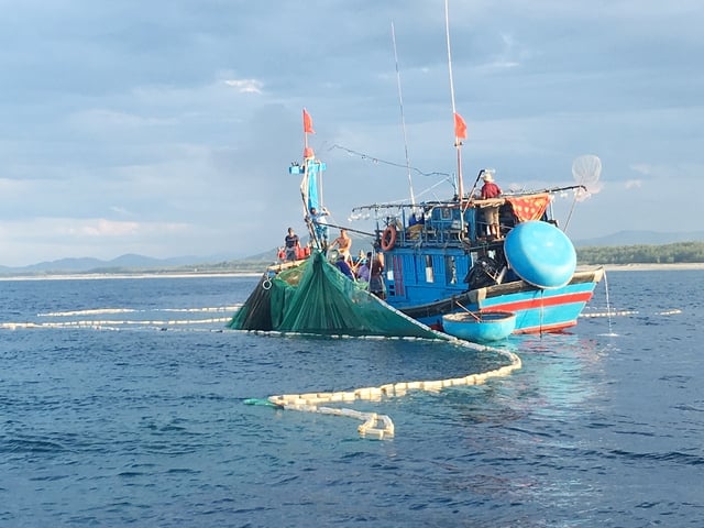 Món ngon Quảng Ngãi: Mực xào Mỹ Á  - Ảnh 1.