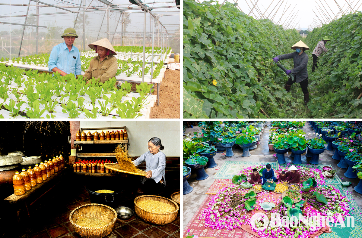 Các mô hình kinh tế ở huyện Nam Đàn. Ảnh tư liệu BNA