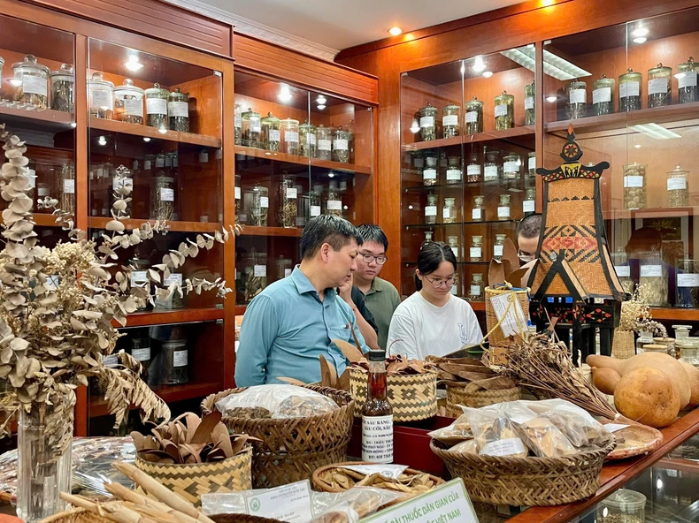 Học sinh Hà Nội trải nghiệm thực tế về đa dạng sinh học tại Viện Dược liệu ảnh 3