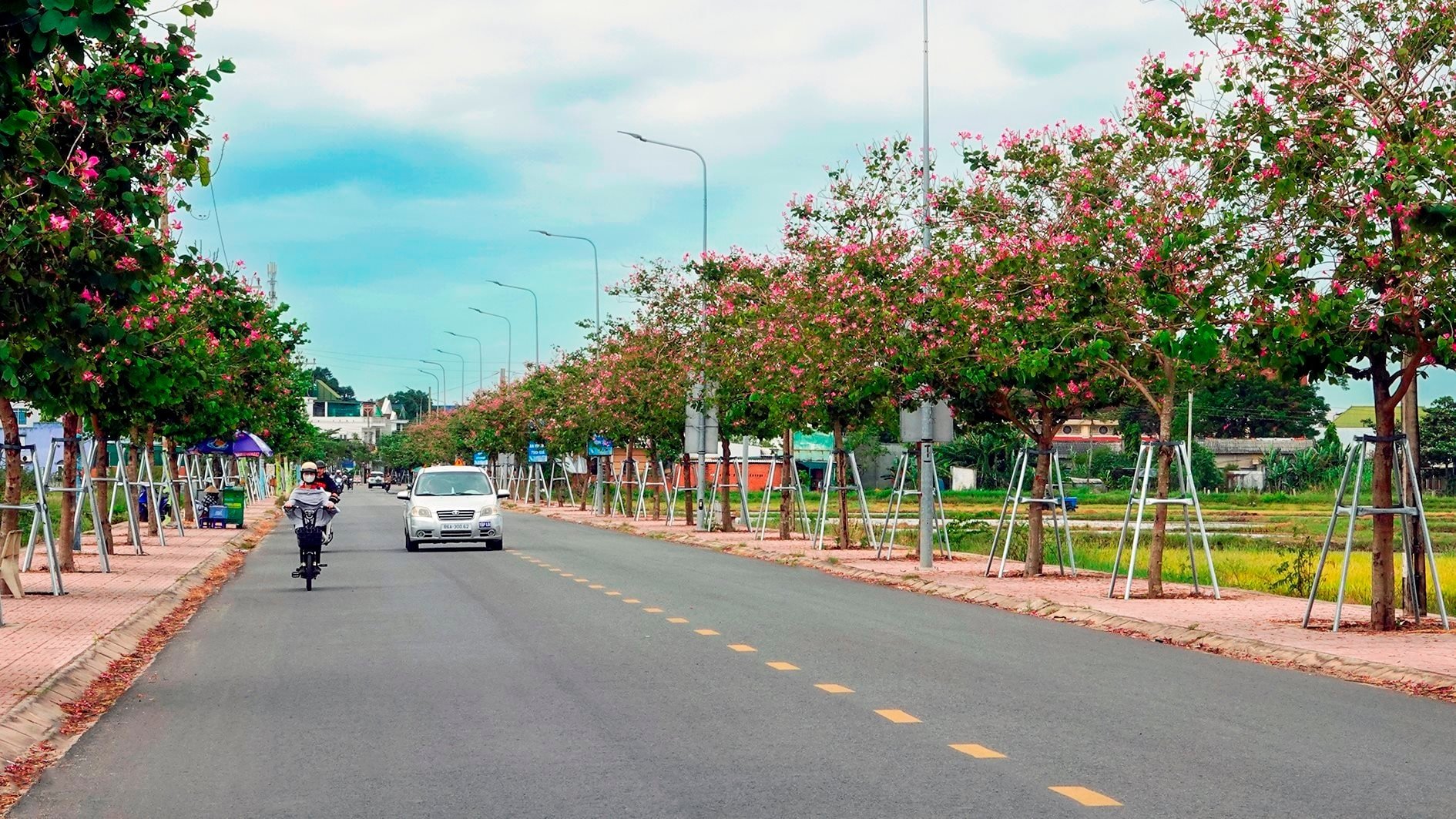 duong-cmt8.jpg