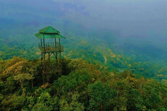 Những kho báu ở Phong Nha - Kẻ Bàng - Ảnh 1.