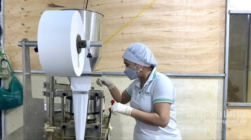 Hoạt động sản xuất tại Hợp tác xã Sản xuất dịch vụ nông lâm sản Bản Quyền,  huyện Tràng  Định