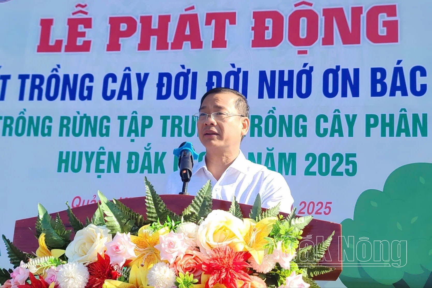 Trồng cây