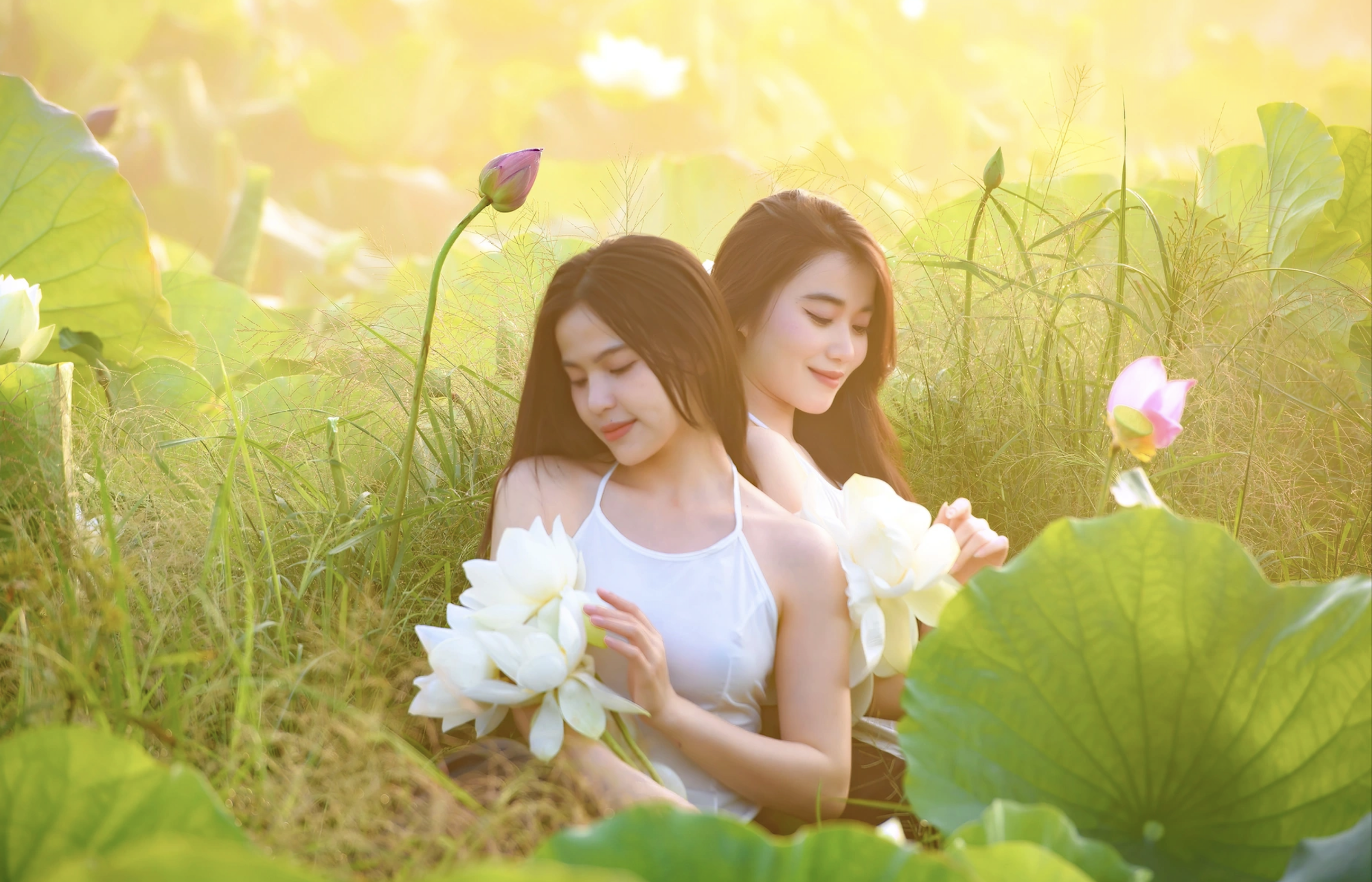 Đầm sen bung nở đầu mùa ở Hà Nội, nàng thơ xúng xính check in