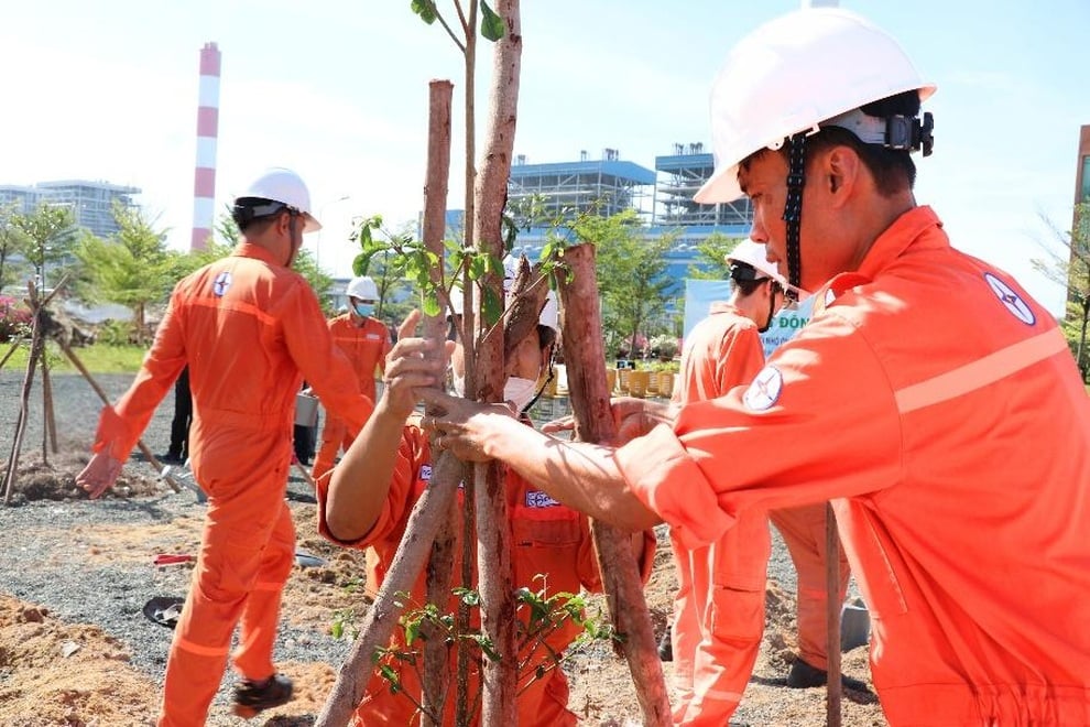 Hơn 300 cây xanh được trồng thêm tại Nhà máy nhiệt điện Vĩnh Tân 2 - 4