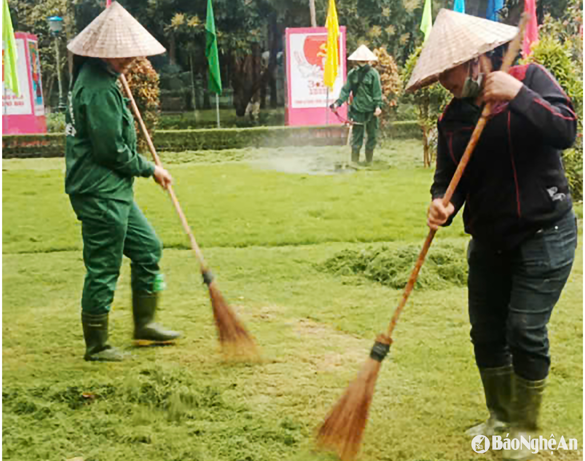trồng cây quê Bác Ảnh NVCC00000