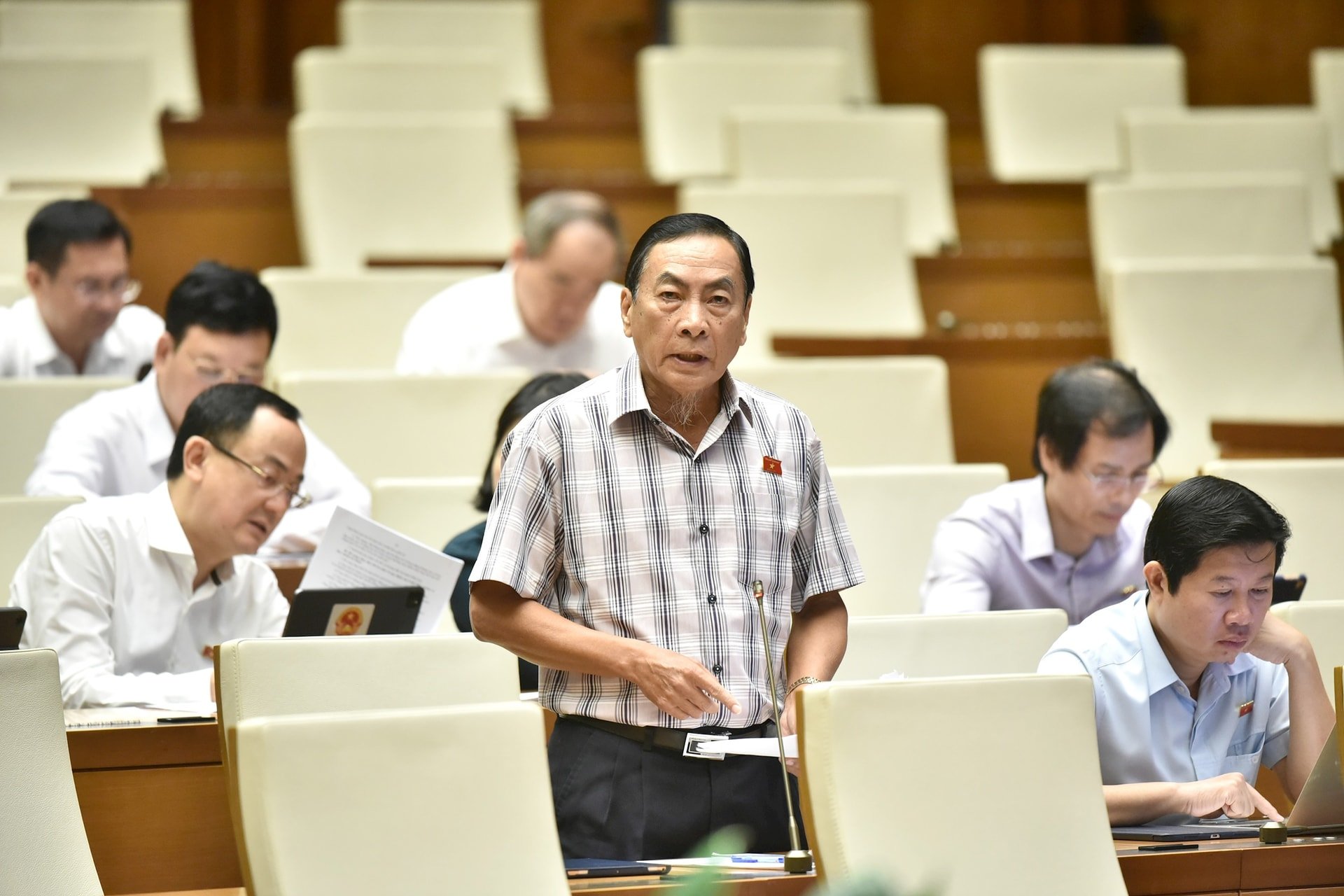 hoa-dong-thap.jpg